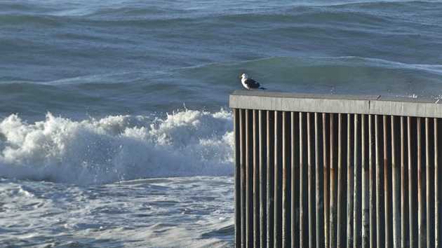 Bird on a border